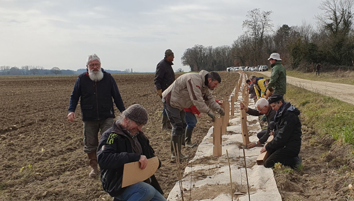 Chantier participatif : plantation de haies